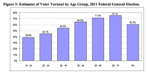 voter turnout 2